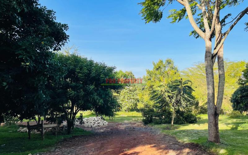Ready To Build 100 By 100 Ft Prime  Residential Plots For Sale At Tulivu Estate In Ngong, Kajiado - With Ready Title Deeds