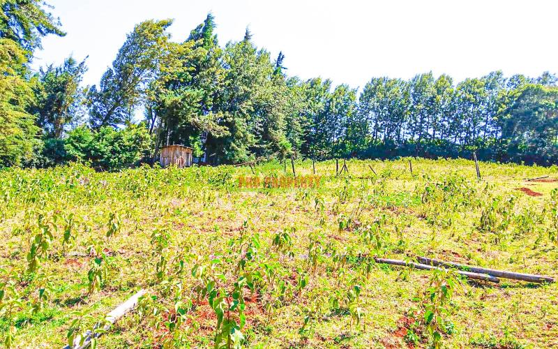 Prime Plots For Sale In Ondiri, Kikuyu – Near Leillani Gardens - Ready Title Deeds