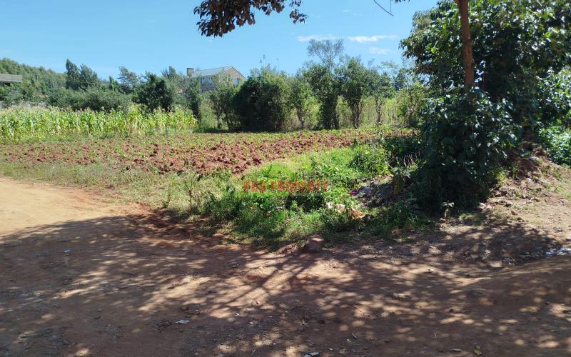 -50by100ft Residential Plot For Sale In Gikambura, Charismatics.