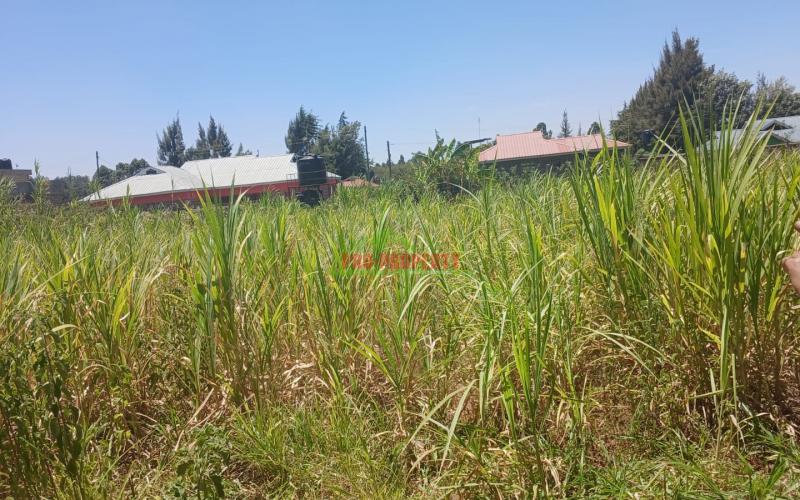 -100by100ft  Residential Plot For Sale In Kikuyu Lusingetti
