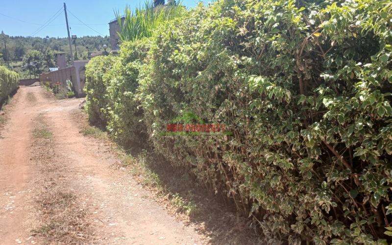 -100by100ft  Residential Plot For Sale In Kikuyu Lusingetti