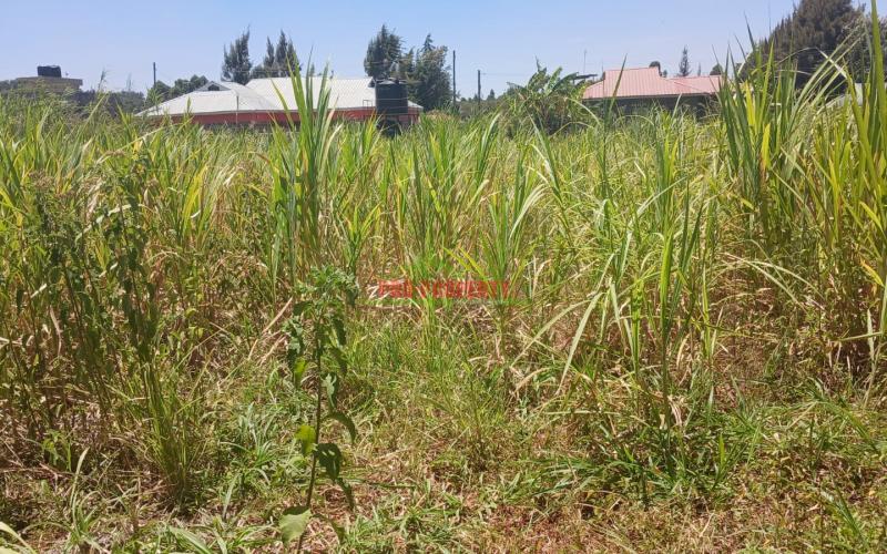 -100by100ft  Residential Plot For Sale In Kikuyu Lusingetti