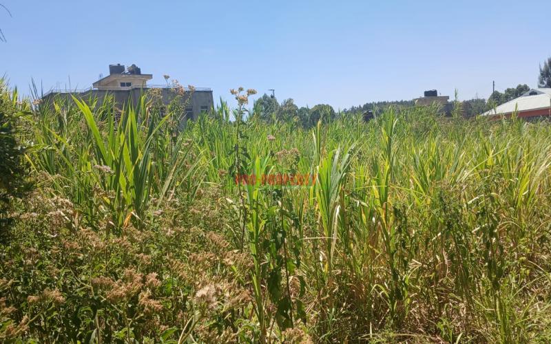 -100by100ft  Residential Plot For Sale In Kikuyu Lusingetti