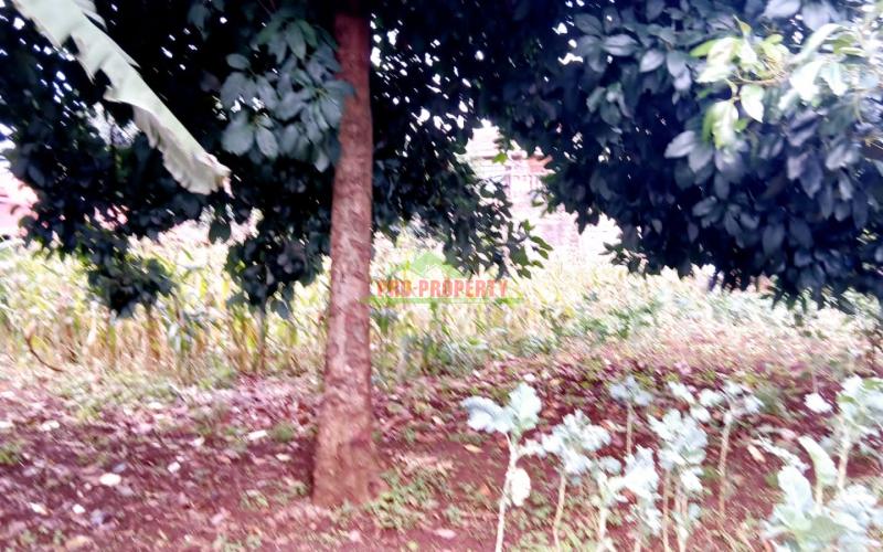 Strategic 100 By 100 Ft Commercial Corner Plot For Sale In Kikuyu, Thogoto