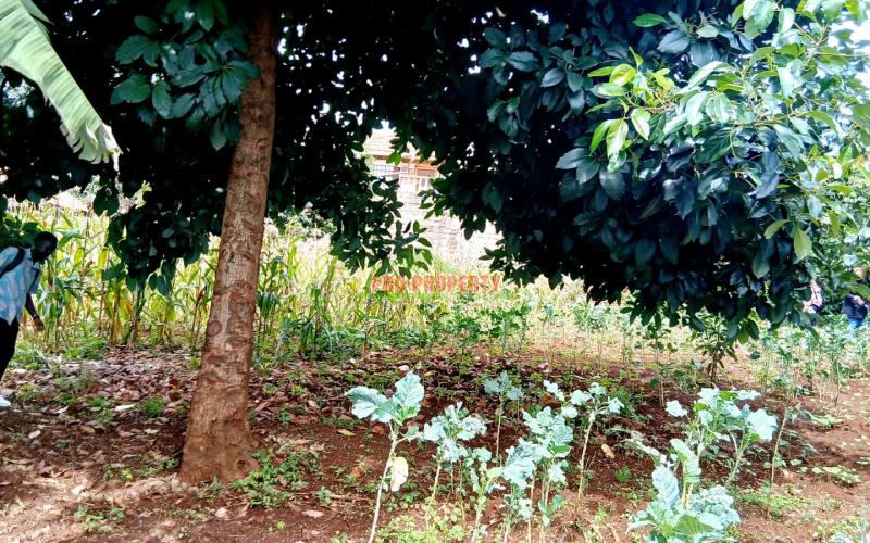 Strategic 100 By 100 Ft Commercial Corner Plot For Sale In Kikuyu, Thogoto