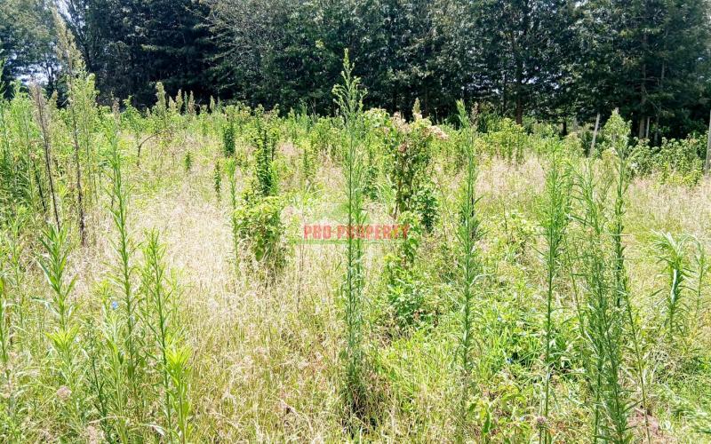 Prime 50x100ft Residential Plot For Sale – Ng'amba, Kikuyu
