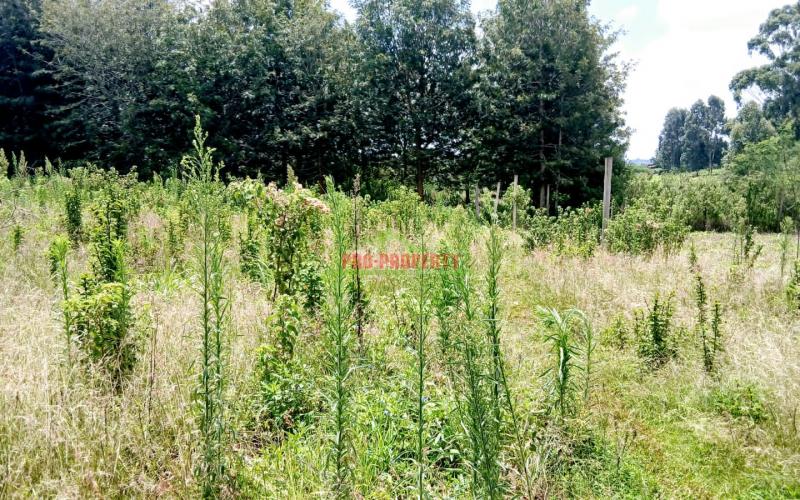 Prime 50x100ft Residential Plot For Sale – Ng'amba, Kikuyu