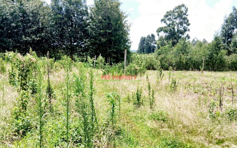 Prime 50x100ft Residential Plot For Sale – Ng'amba, Kikuyu