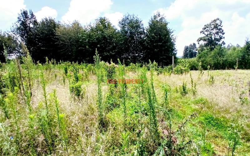 Prime 50x100ft Residential Plot For Sale – Ng'amba, Kikuyu