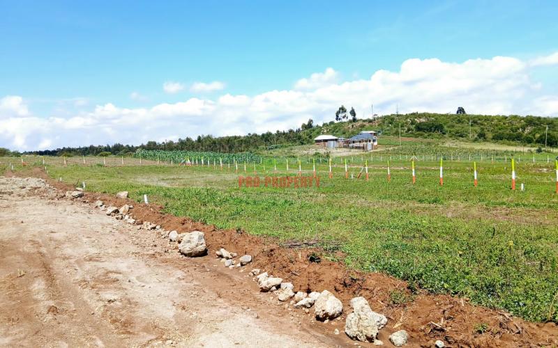 🏡 Tranquil 50 By 100 Ft Residential Plots For Sale – Golden Hills Phase 1, Kikuyu Nachu-ndiguini Area