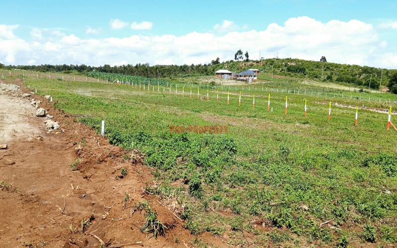 🏡 Tranquil 50 By 100 Ft Residential Plots For Sale – Golden Hills Phase 1, Kikuyu Nachu-ndiguini Area