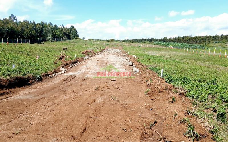 🏡 Tranquil 50 By 100 Ft Residential Plots For Sale – Golden Hills Phase 1, Kikuyu Nachu-ndiguini Area