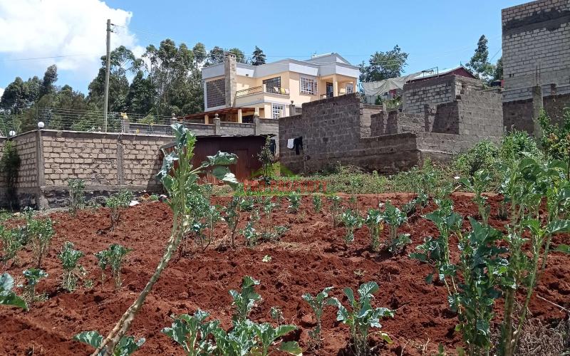 Prime Residential Plot For Sale In Kikuyu, Gikambura.