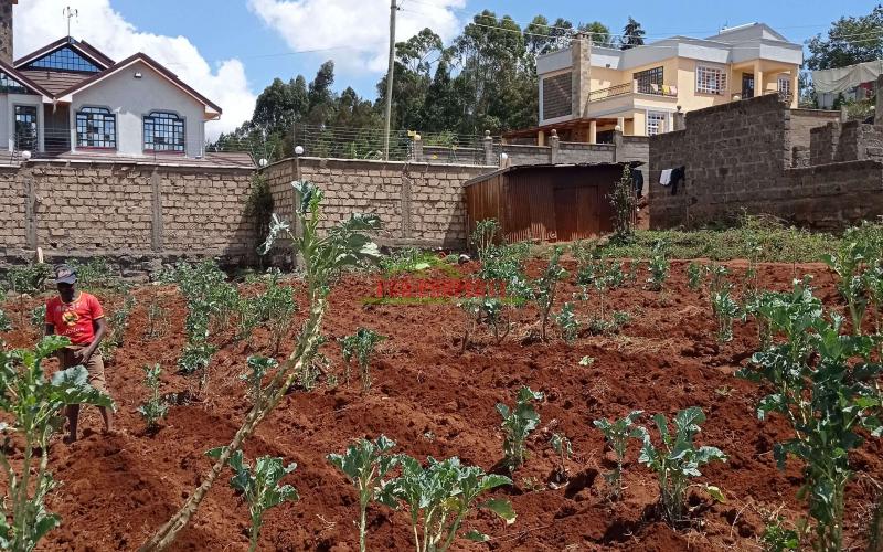 Prime Residential Plot For Sale In Kikuyu, Gikambura.