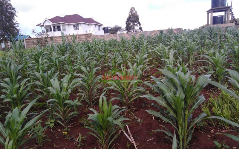 Residential plot for sale in Kikuyu Kamangu area