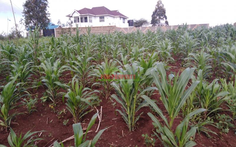 Residential Plot For Sale In Kikuyu Kamangu Area