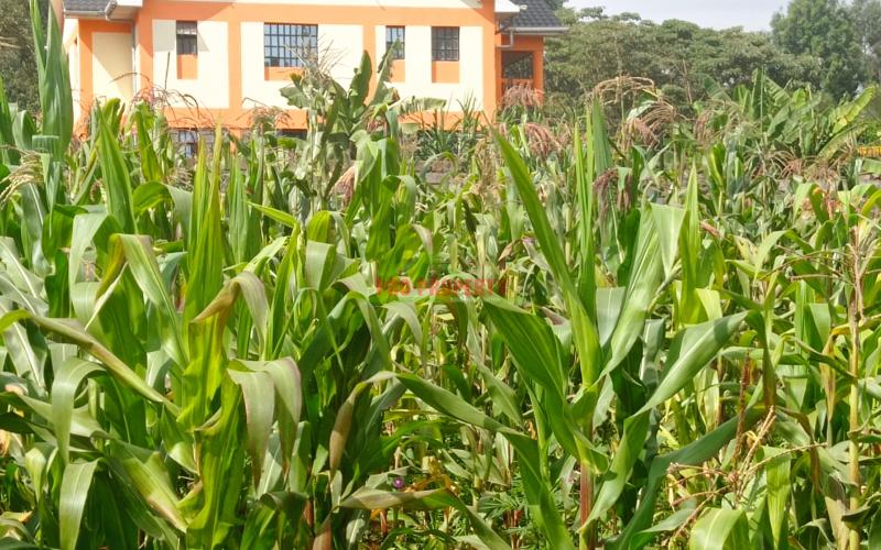Residential Plot For Sale In Kikuyu Ondire