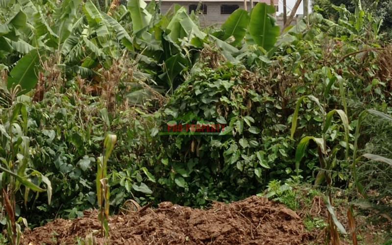 Commercial Plot For Sale In Muthure, Kikuyu