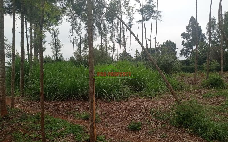 Residential Plot For Sale In Gikambura Kikuyu