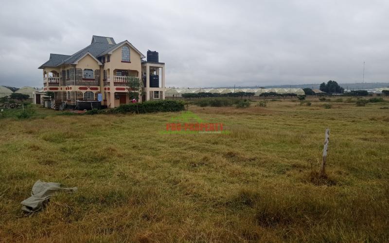 Residential Plot For Sale In Naivasha, Moi South Lake