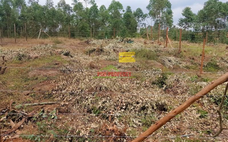 Residential Plots For Sale In Kikuyu, Lusegetti.