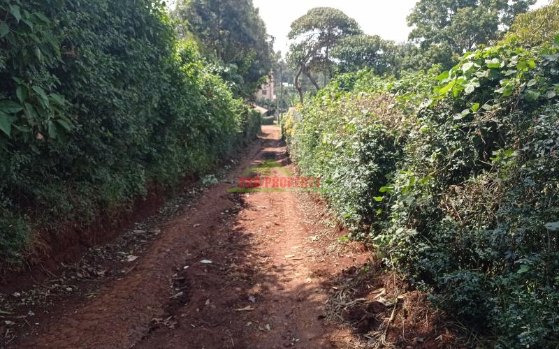 Commercial Plot For Sale In Muthure, Kikuyu