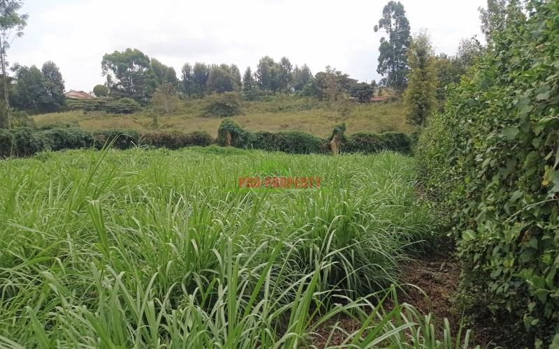 Prime Quarter Acre Plot For Sale In Ngong Suburbs