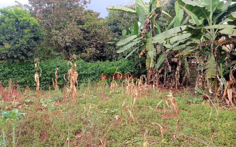 Commercial Plot For Sale In Dagoretti Shopping Center