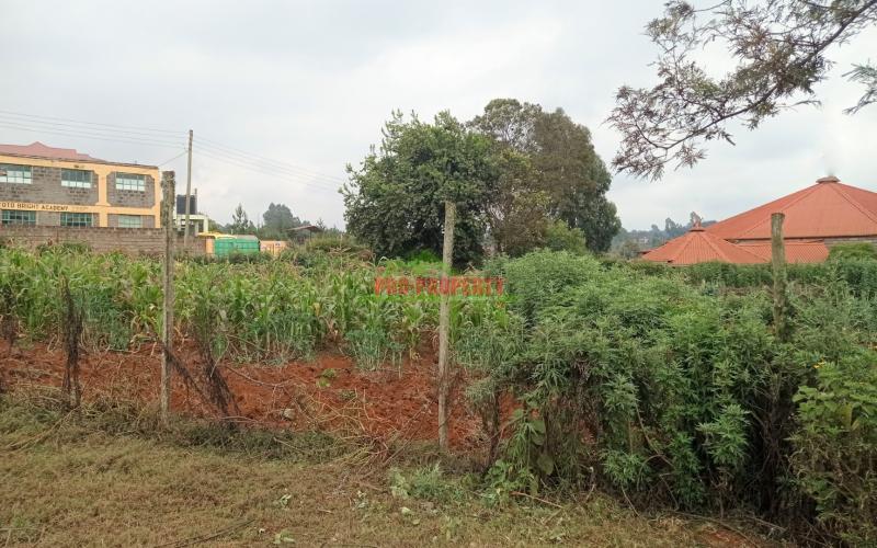 Prime Plot For Sale In Limuru, Near Town