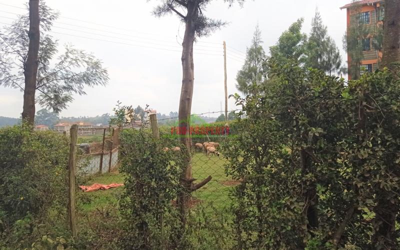 Prime Plot For Sale In Limuru, Near Town