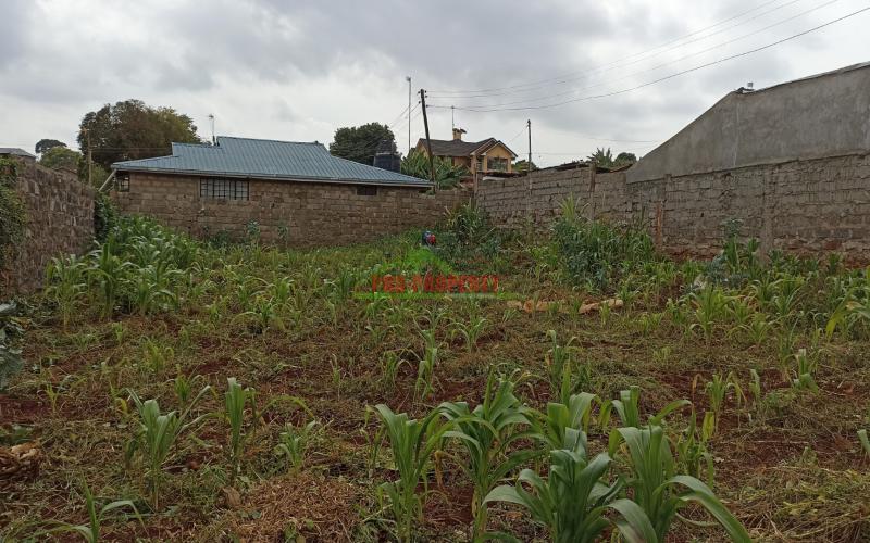 50 By 100ft Prime Commercial Plot For Sale In Kikuyu, Thogoto