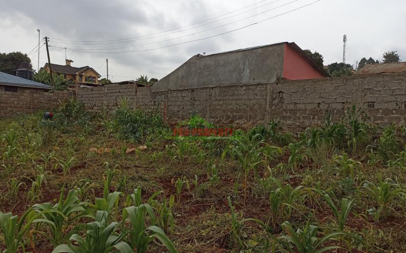 50 By 100ft Prime Commercial Plot For Sale In Kikuyu, Thogoto
