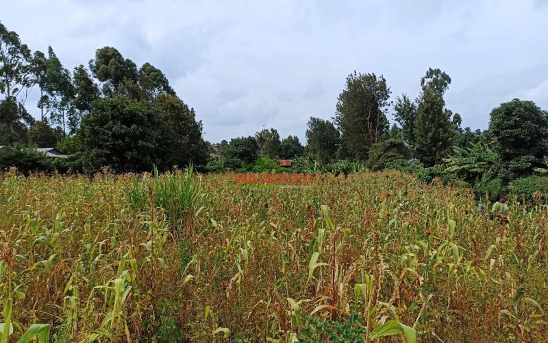 Commercial Plot For Sale In Kikuyu, Thogoto