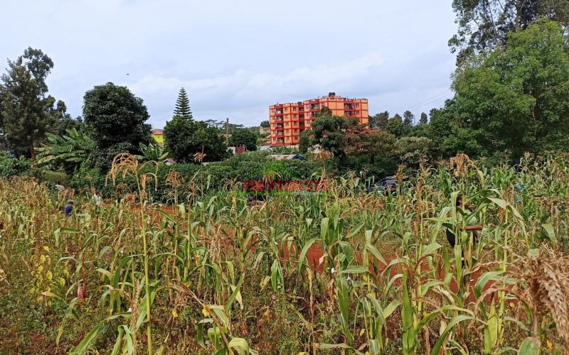 Commercial Plot For Sale In Kikuyu, Thogoto