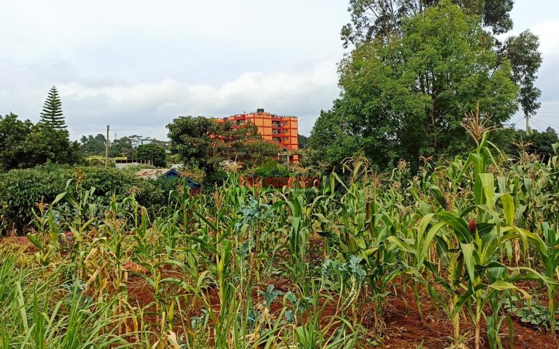 Commercial Plot For Sale In Kikuyu, Thogoto