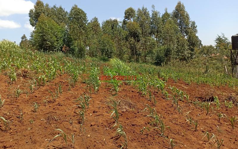 Residential Plot For Sale In Kikuyu, Near Kamangu Town