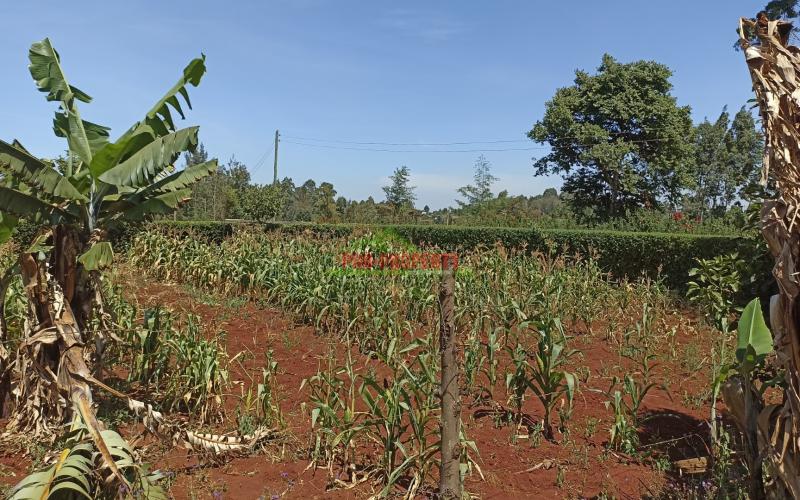 Residential Plot For Sale In Kikuyu, Ondiri