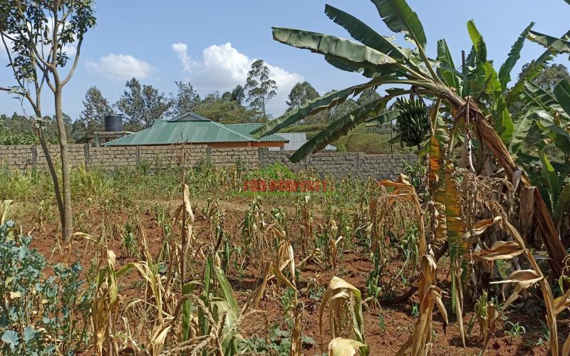 100 by 100ft Plot for Sale in Gikambura, Kikuyu