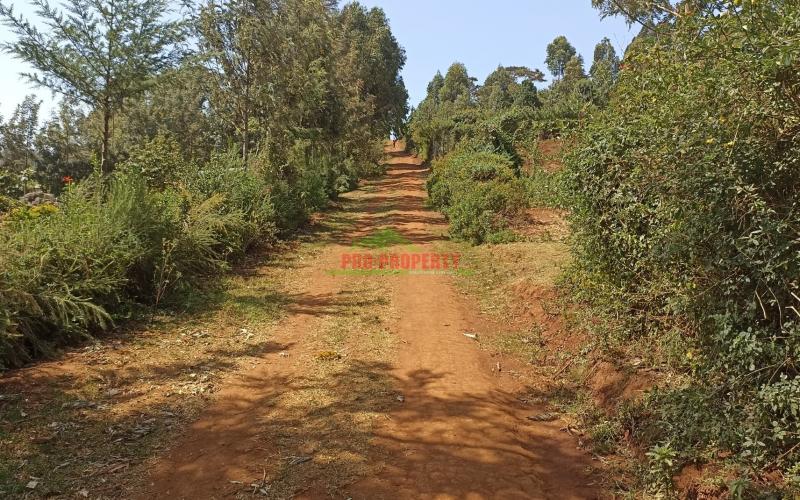 100 By 100ft Plot For Sale In Gikambura, Kikuyu