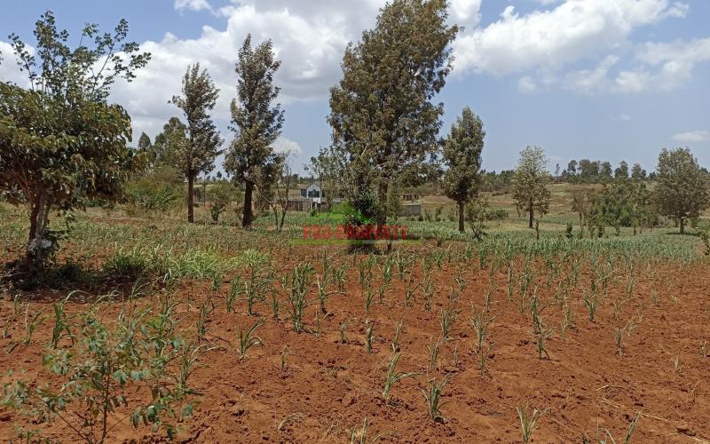 50 By 100ft Residential Plot For Sale In Lusegetti, Kikuyu