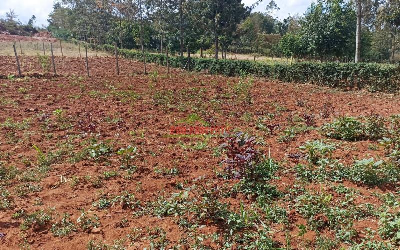 Residential Plots For Sale In Kikuyu, Migumoini