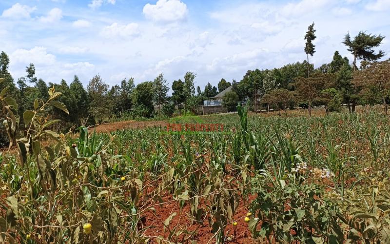 One Acre Land For Sale In Kikuyu, Lusigetti, Kiambu County