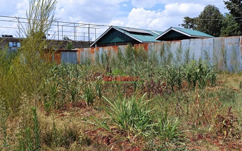 Very Prime Plot For Sale In Kikuyu, Thogoto