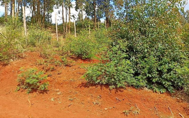 Residential Plots For Sale In Mai A Ihii, Kikuyu.