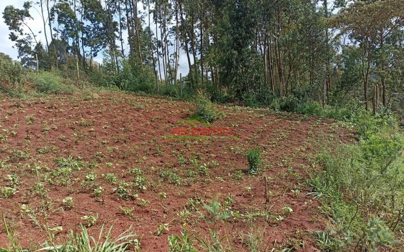 Residential Plots For Sale In Mai A Ihii, Kikuyu.