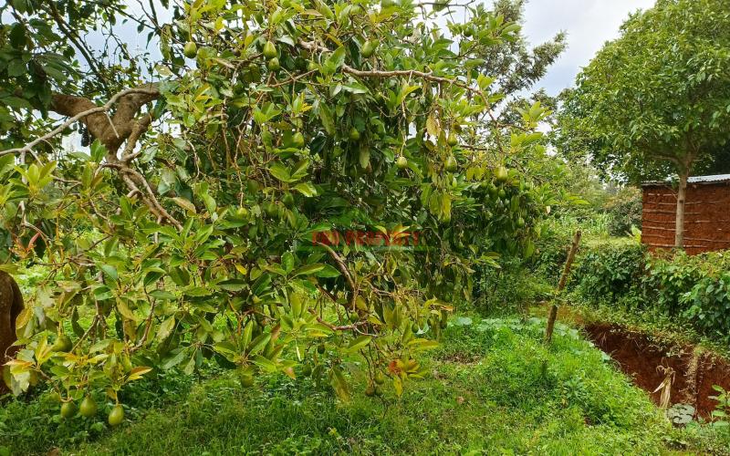 Residential Plots For Sale In Ndeiya, Makutano