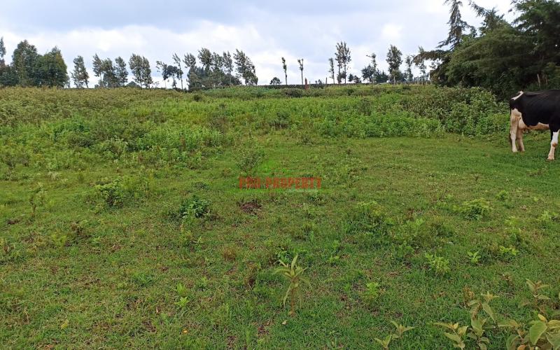 Plots For Sale In Limuru, Mutarakwa