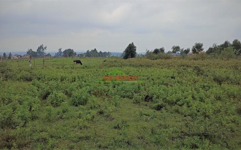 Plots For Sale In Limuru, Mutarakwa