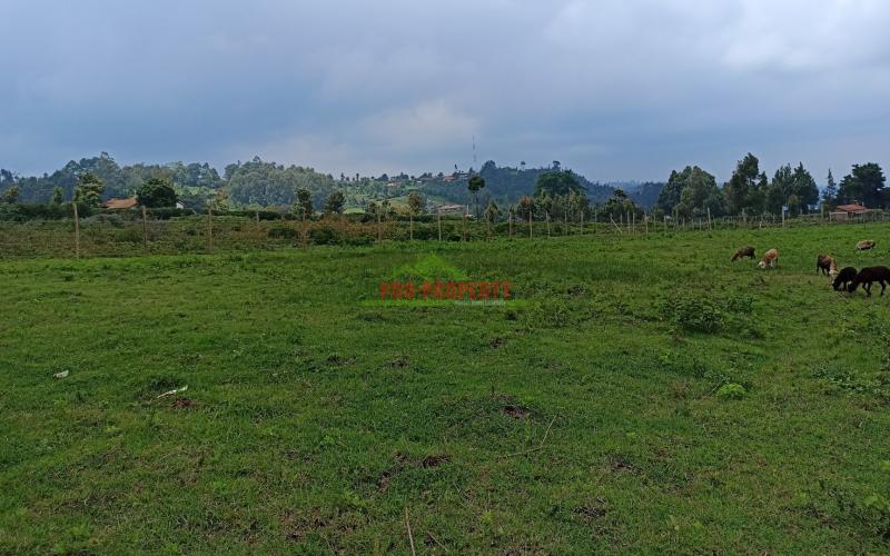 Plots For Sale In Limuru, Mutarakwa