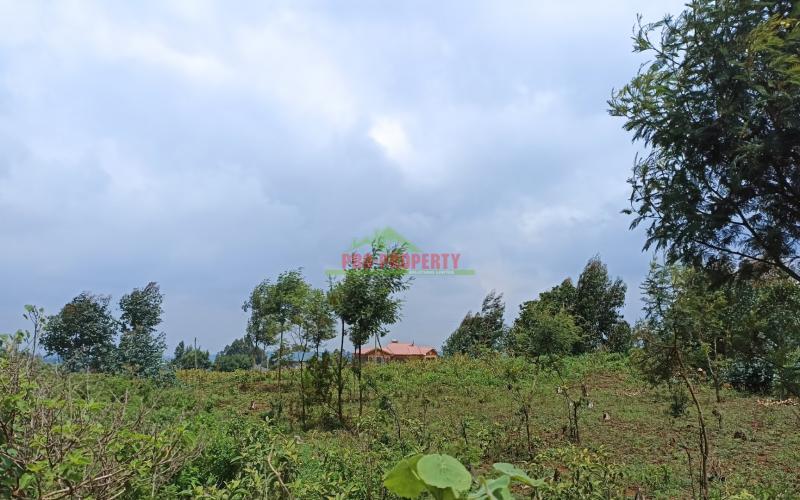 Plots For Sale In Limuru, Mutarakwa
